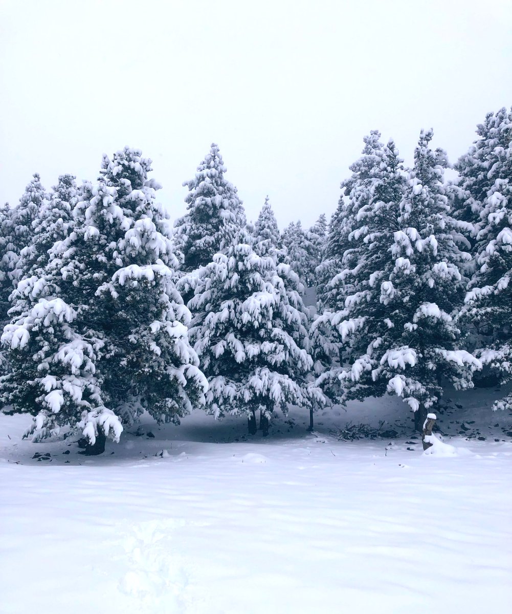 AnnaFornesa's tweet photo. ❄️❄️❤️❄️❄️🇦🇩 @naturland_and https://t.co/WiWtT3PyhM