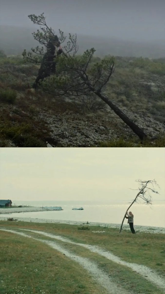 IgnacioC95's tweet photo. A metamorfose dos pássaros (2020)
Offret (1986) https://t.co/cuFMz0QWd0