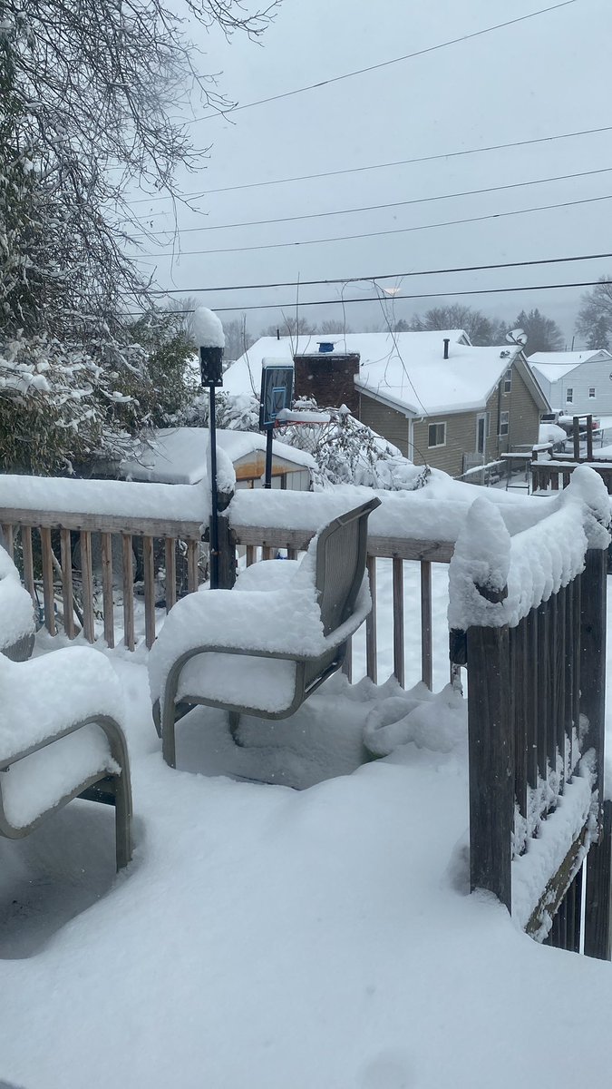 Regular Em tweet media