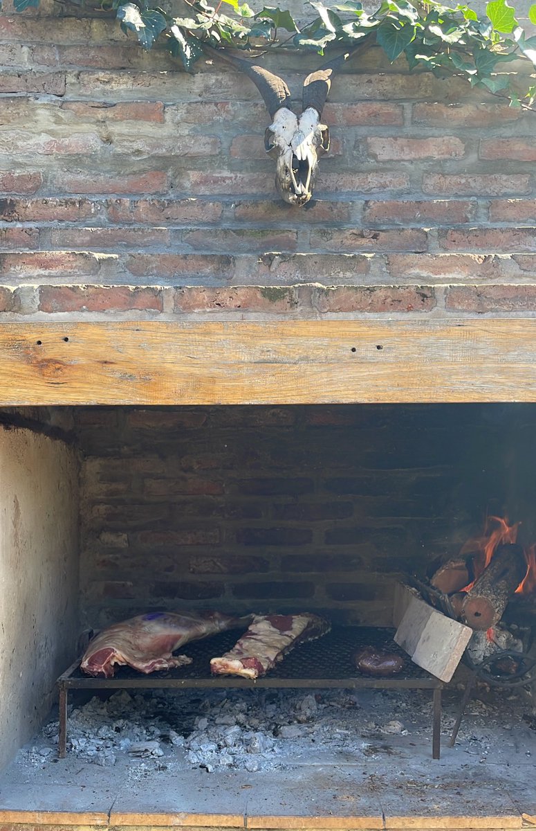 asadocoin's tweet photo. Se largo el primer asadocoin fest https://t.co/e26f7pZtX3