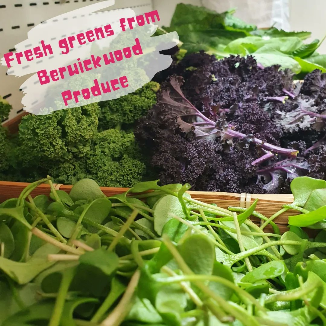 madpotatouk's tweet photo. We have some epic greens from @berwickwoodproduce delivered today. Packed with nutrients perfect for giving your body the vitamins it needs. 

#veggieboxsubscription #greens #spinach #kale #freshproduce #blockchainpowered https://t.co/BEOYz0aR7I