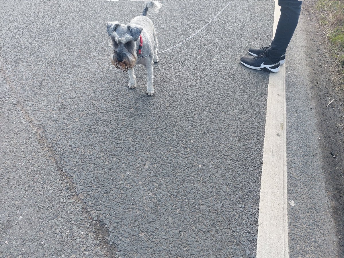 KeriFurniss's tweet photo. One happy boy and an even happier dog...getting in the steps for ward2 @BrittBevan @mrs_p83 https://t.co/flEOYkBjIe