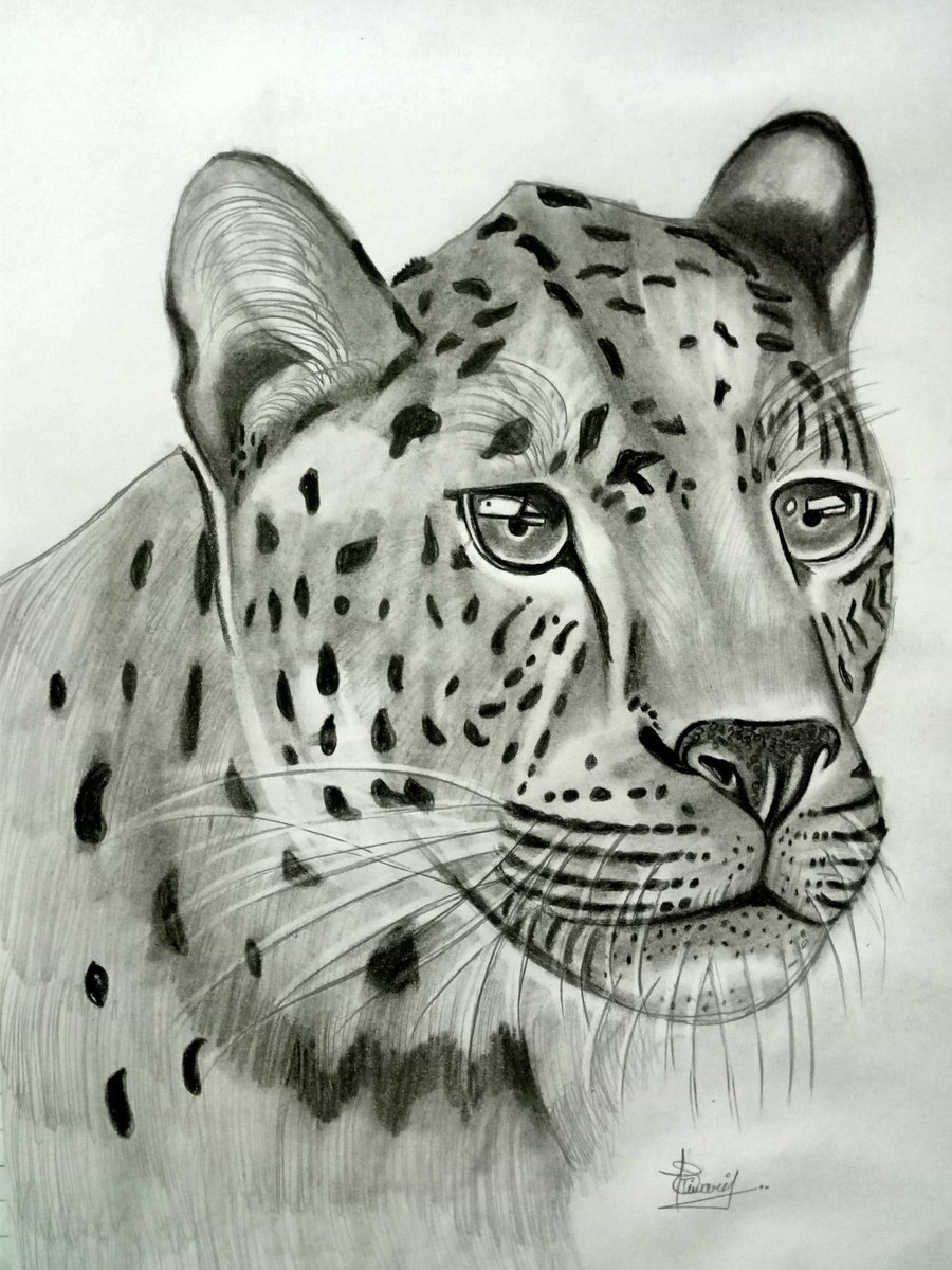 sami_art_draw's tweet photo. #tiger
#charchol pencils https://t.co/xz1yvZZIlv