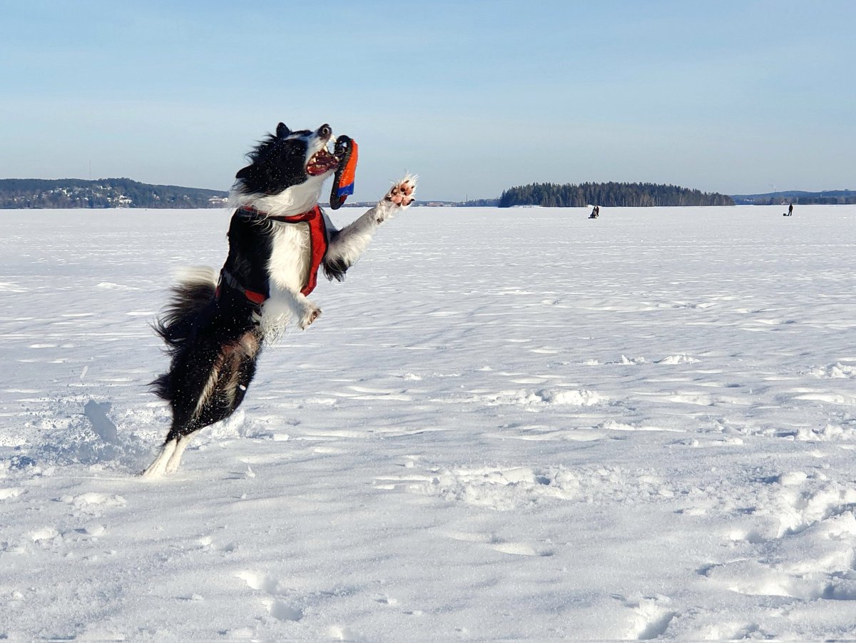 Kevättä kohti #Tampere'ella
Mukavaa irtautumista pandemia- ja sotasyötteiden ääreltä.