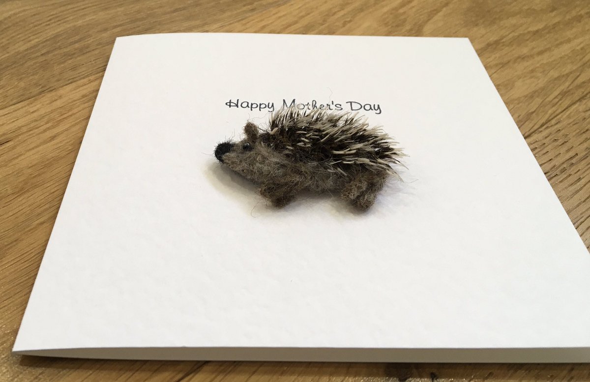LoobyFelts's tweet photo. Hedgehog fun #MothersDay greetings card. Handmade needle felted with pure wool and Hedgehog hair Material: 100% Mohair
Produced by: Steiff Schulte. Only one available in my #etsyshop
https://t.co/R2ZFq6DMS6 https://t.co/9QXk1cWADB
