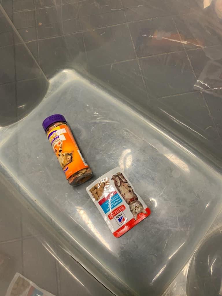 KidsAdoptAShelt's tweet photo. Selden Pantry is Extremely low on cat 🐱 treats if anyone can donate or has any please let us know thank you so very much 🙏🐱🐱🐾🐾
Amazon: https://t.co/gLm7LDjYGw https://t.co/Np3hCR80tD