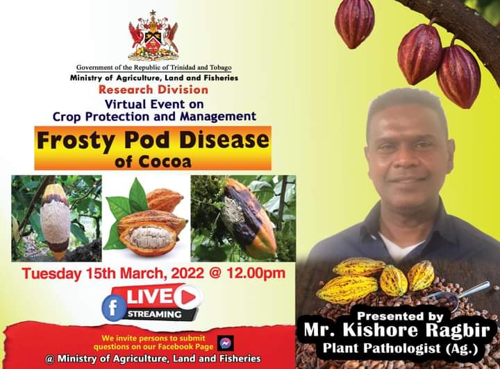 maftt_'s tweet photo. #Virtual | #ResearchDivision | #Cocoa | #PlantHealth | #PlantDiseases | #CropManagement | Virtual Event on: Frosty Pod Disease of Cocoa
We invite the public to join us on our MALF Facebook Page for the LIVE stream on March 15th, 2022 at 12pm https://t.co/qnJzmKhXx8