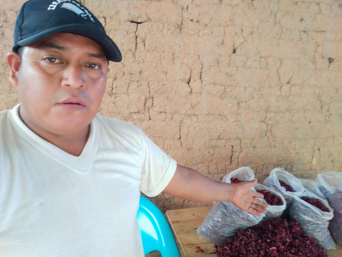 panaclo's tweet photo. Amigos 🆘 El es Marcelino, padre de Yuvia quien tiene un cáncer muy agresivo. Vienen desde la Sierra de Guerrero y venden Jamaica que es su única fuente de ingresos. A partir de ahorita se encuentran en la entrada del Instituto Nacional de Pediatría. Por favor cómprenles mucho ! https://t.co/DO0NdTBzHM