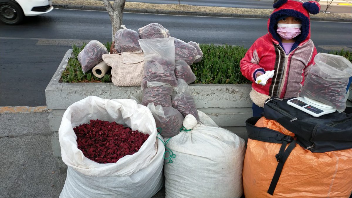 panaclo's tweet photo. Amigos 🆘 El es Marcelino, padre de Yuvia quien tiene un cáncer muy agresivo. Vienen desde la Sierra de Guerrero y venden Jamaica que es su única fuente de ingresos. A partir de ahorita se encuentran en la entrada del Instituto Nacional de Pediatría. Por favor cómprenles mucho ! https://t.co/DO0NdTBzHM
