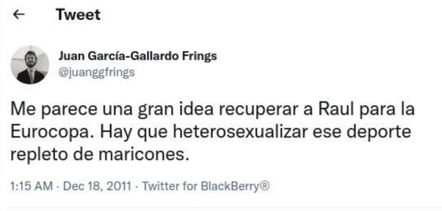 RubenSanchezTW's tweet photo. Los tuits borrados del nuevo vicepresidente de Castilla y León. Con esto gobierna el "nuevo PP" de Feijóo. https://t.co/33O8iS9bWj