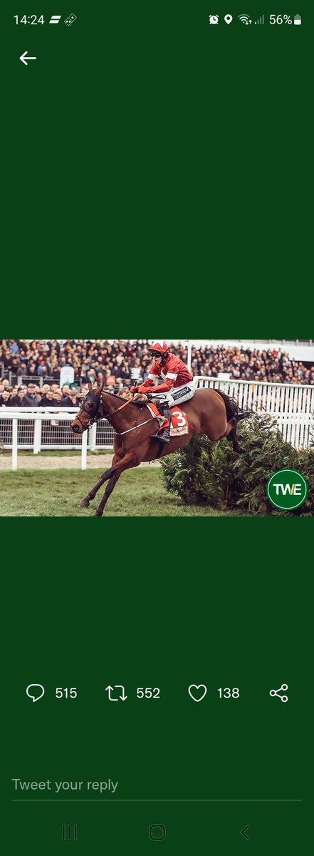 jamesh915's tweet photo. @TWEnclosure https://t.co/BFjdVdmfUB