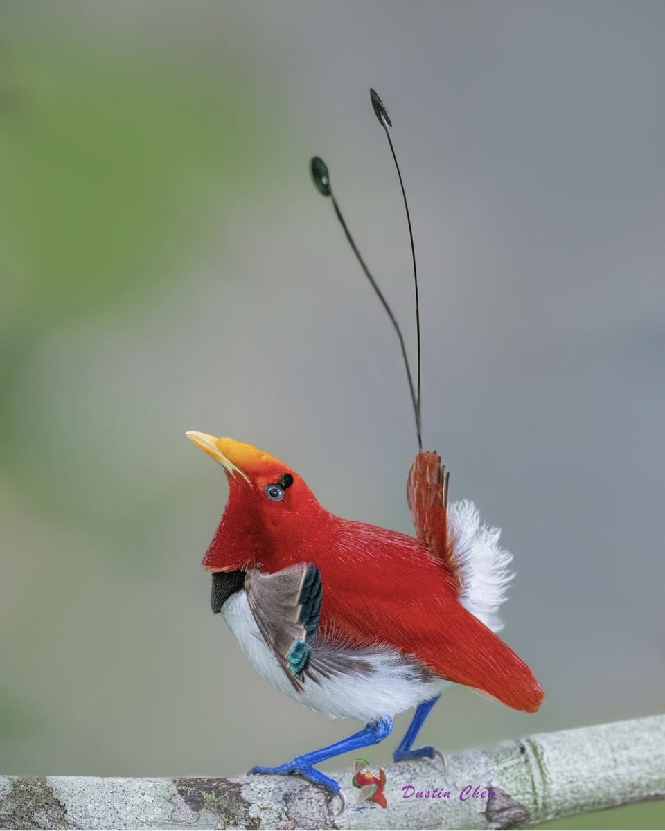 vanyajeevi tweet media