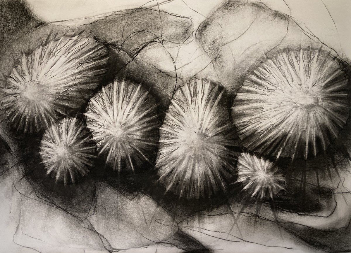 callyyeatman's tweet image. Drawing #limpets. Oscillating listening between @Arunskisood new album and radio. Perhaps they are a family holding tight in a basement waiting and hoping. Or perhaps just limpets on the shore of vallay holding tight and waiting for the tide. Make of them what you will #drawing