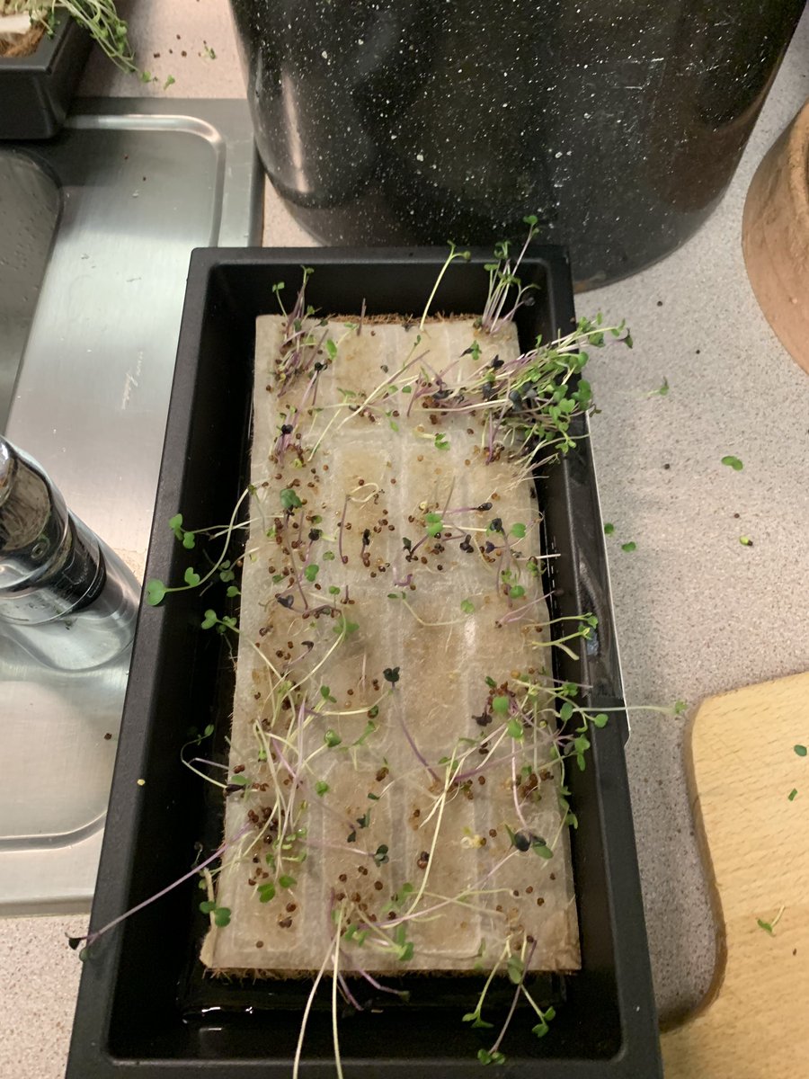 Mrs. Moulder tweet media