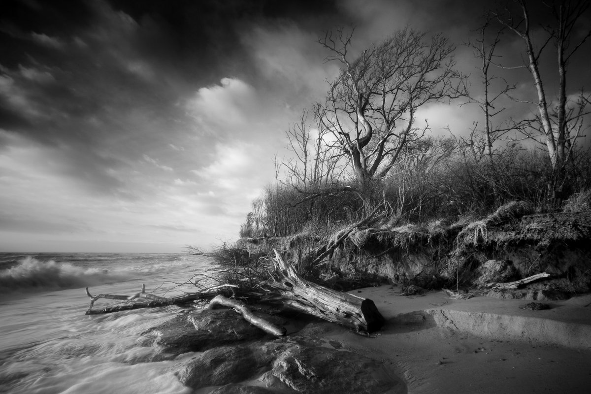 Lee Acaster tweet media