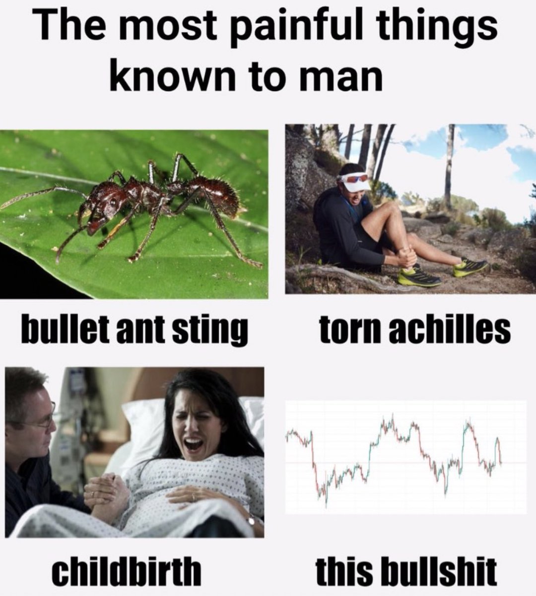crypto_birb's tweet photo. lmao https://t.co/z0eqJkCkqX