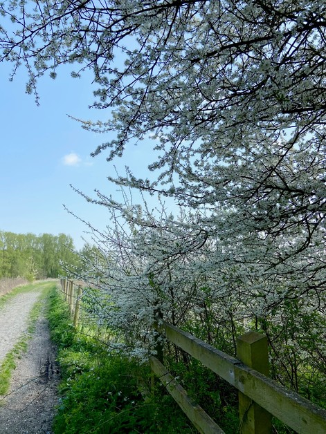 LeeValleyPark's tweet image. #SpringSnaps 🌸  Tweet us your spring time photos from the park below 👇🏻