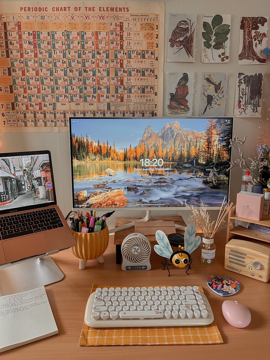 Shekinah Glory 🐻 tweet media