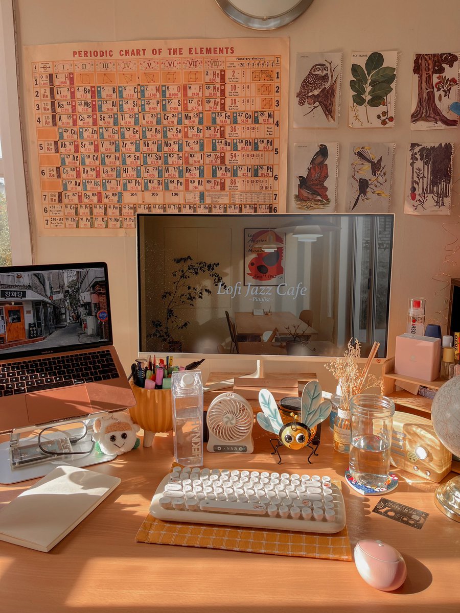 Shekinah Glory 🐻 tweet media