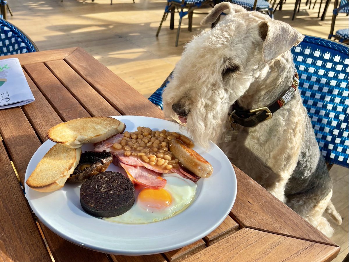 Bertie Lakeland tweet media