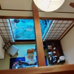 桜咲明日菜のツイート画像