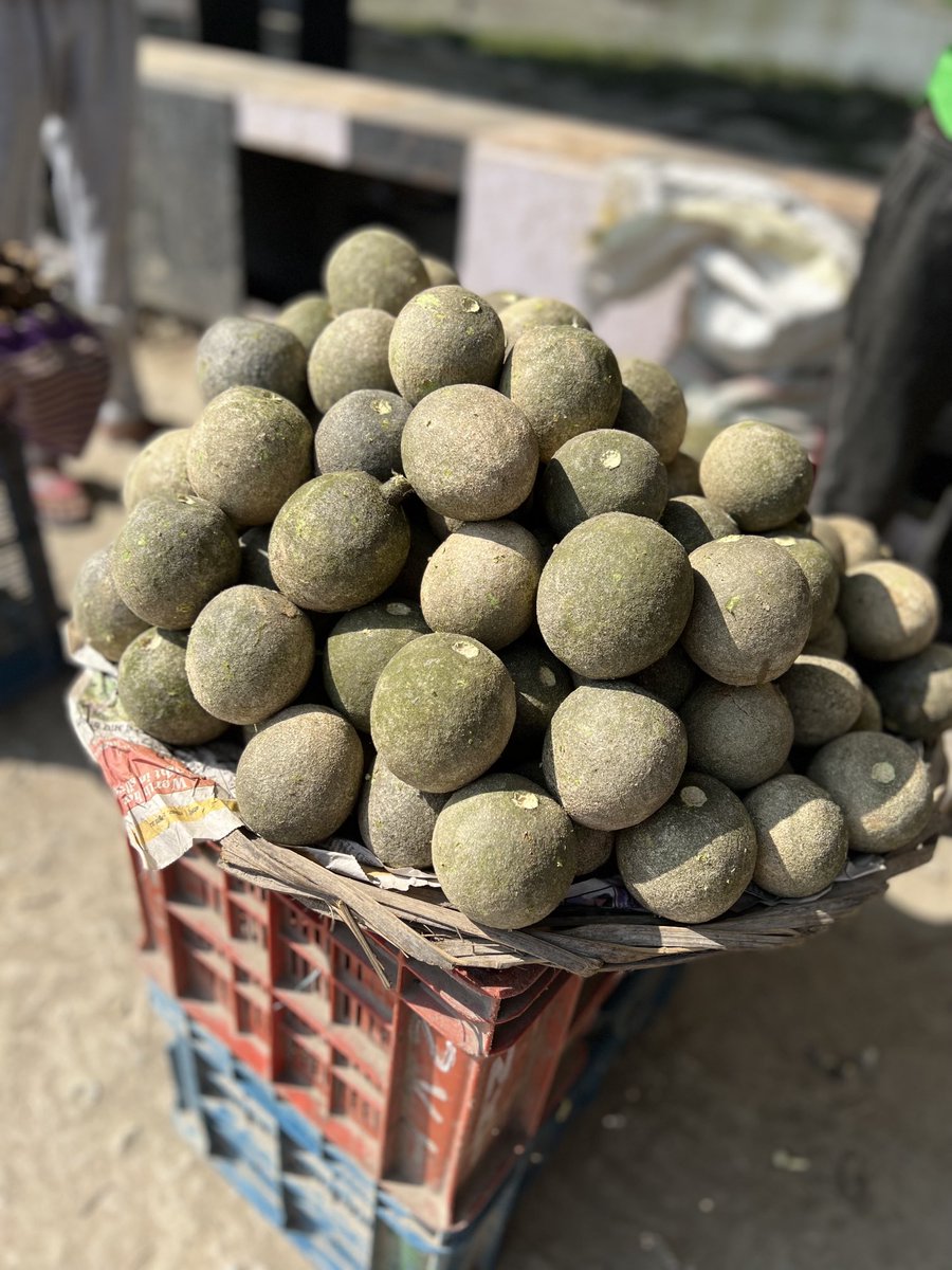 khanumarfa's tweet photo. Name the fruit and the area it grows in. https://t.co/DnAQGYgCSY