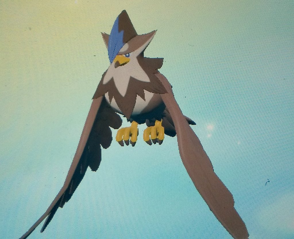 かずポケ 色違いムックル ムクバード ムクホークget 大大大発生で1番最初に出てきました ムクバードとムクホークって名前がごっちゃになってしまう 色違いポケモン ムックル ムクバード ムクホーク T Co Qtatr6xpxl Twitter
