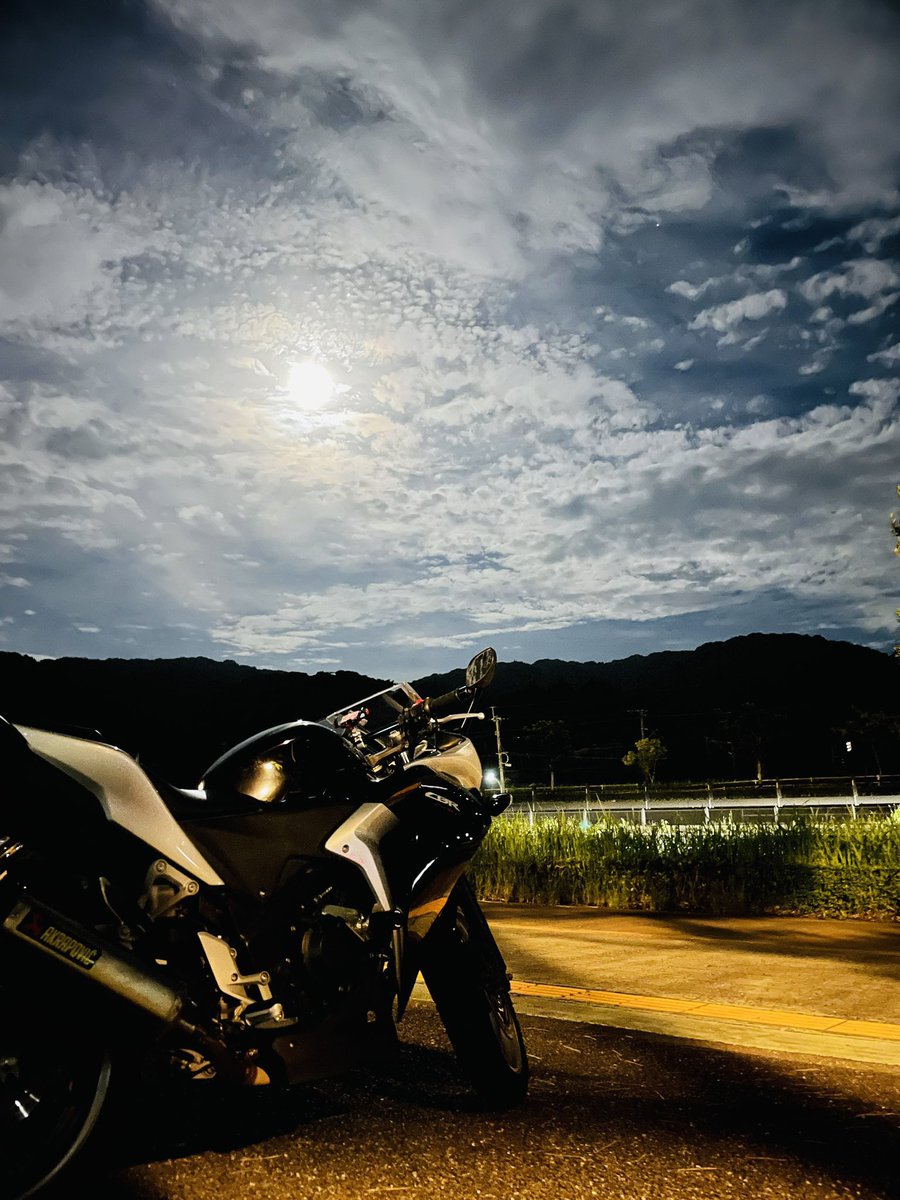 かれら tweet media