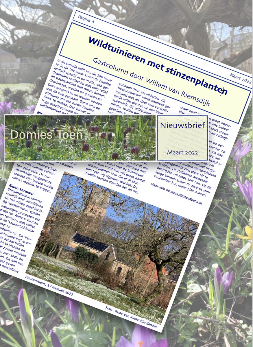 Tuinieren met #stinzenplanten, zoek de verschillen: keukenhof tuinieren, heemtuinieren, wildtuinieren. Het antwoord? Lees de column van Willem van Riemsdijk/Stinze-Stiens in: domiestoen.nl/nieuwsbrieven/… Domies Toen