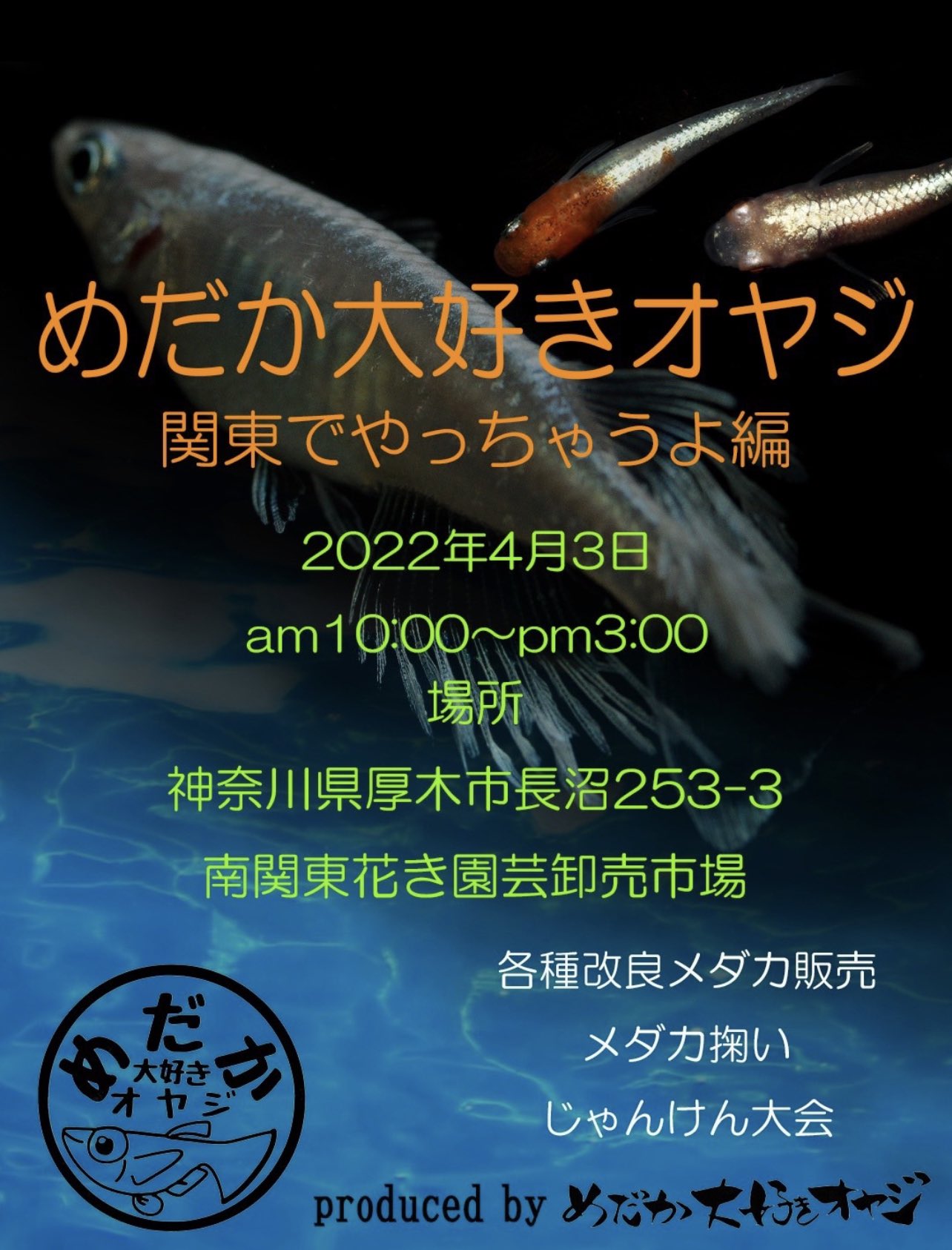 とめこ メダカ Color 日常用 Tomeko Color Twitter
