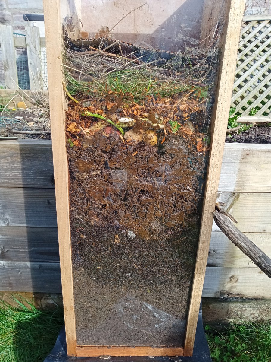 john_centre's tweet photo. Bring the kids to our seed swap today, 10 - 1! We've got demos on sowing and composting too https://t.co/o69PuSc33m