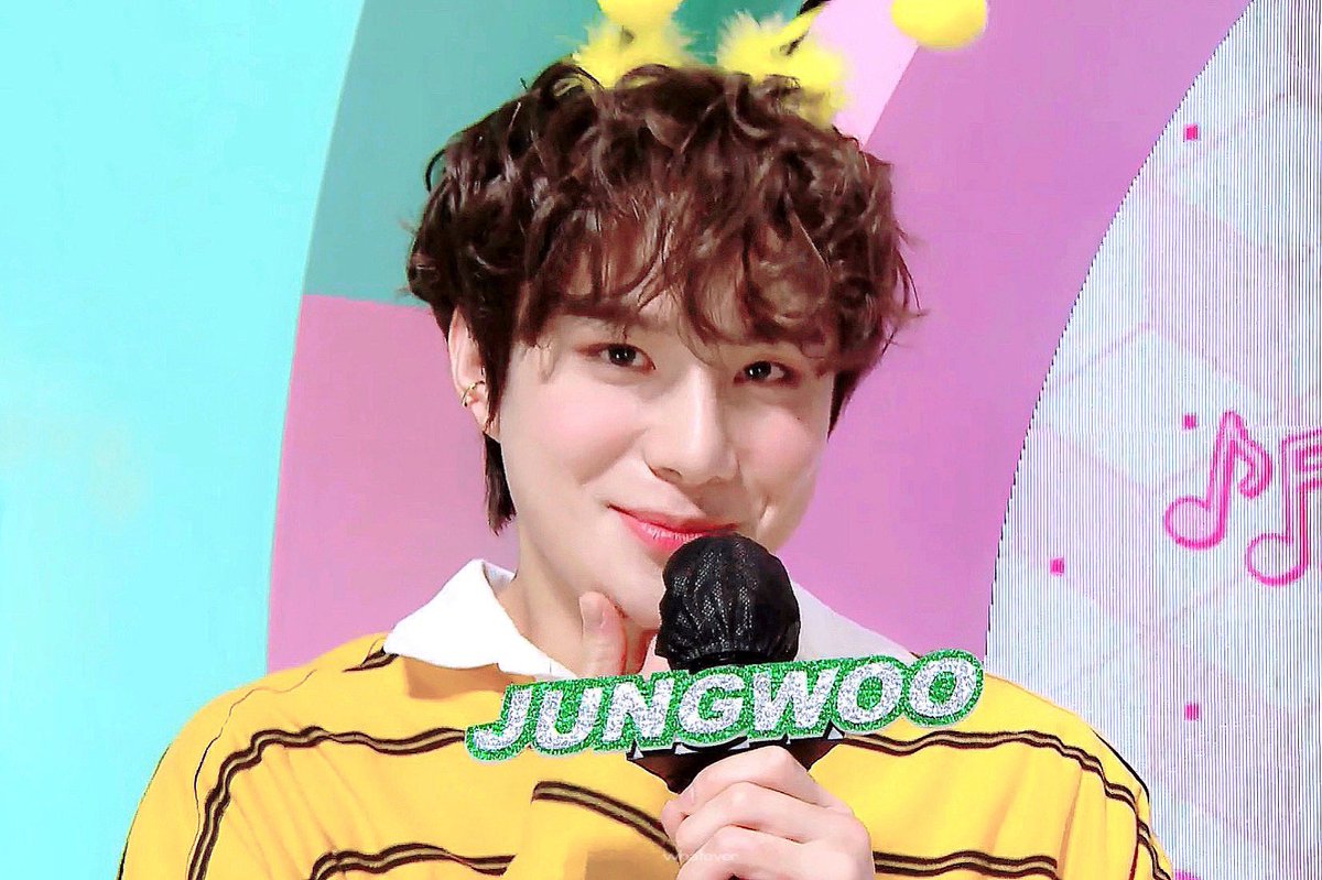 ᴡʜᴀᴛᴇᴠᴇʀ tweet media