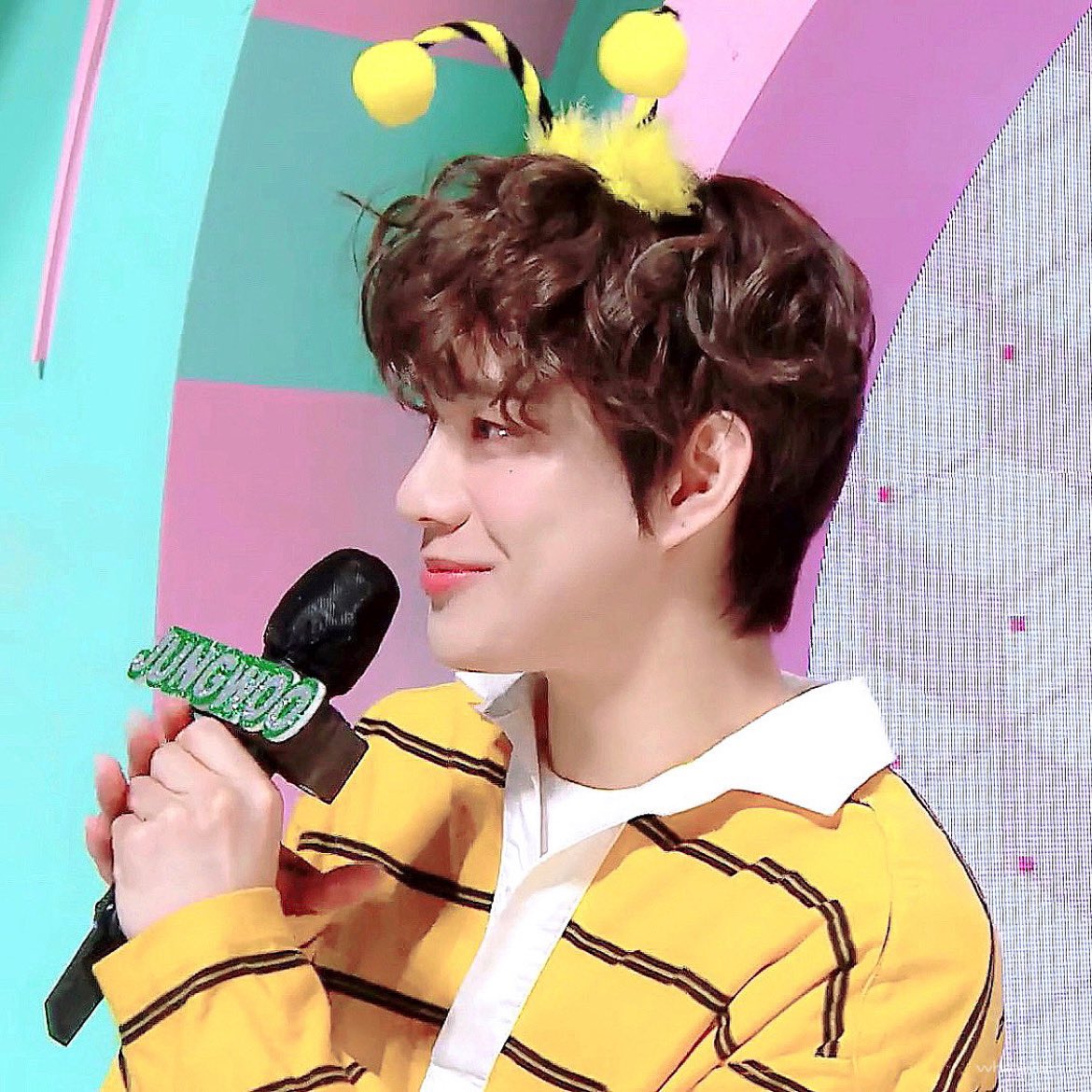 ᴡʜᴀᴛᴇᴠᴇʀ tweet media