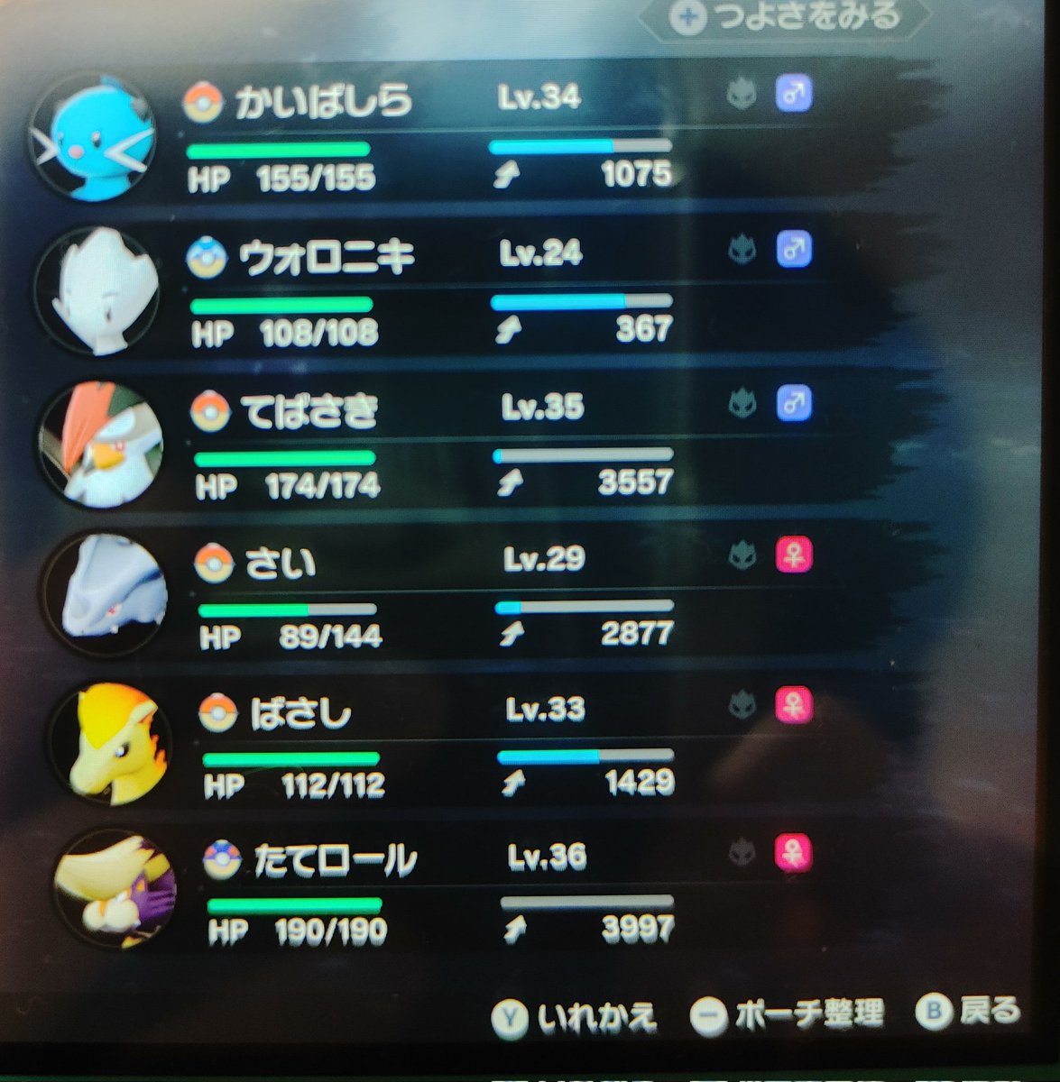 SSMR_KatyoFull's tweet photo. アルセウス現パーティーメンバー
（スクショ送れなかったので直撮り）（ブレてて見にくいです） https://t.co/nR26rXddLh