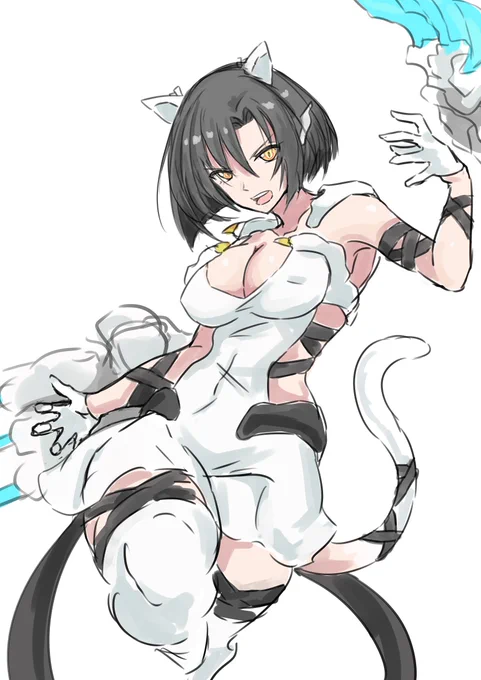 久々の白虎(うちの子) 