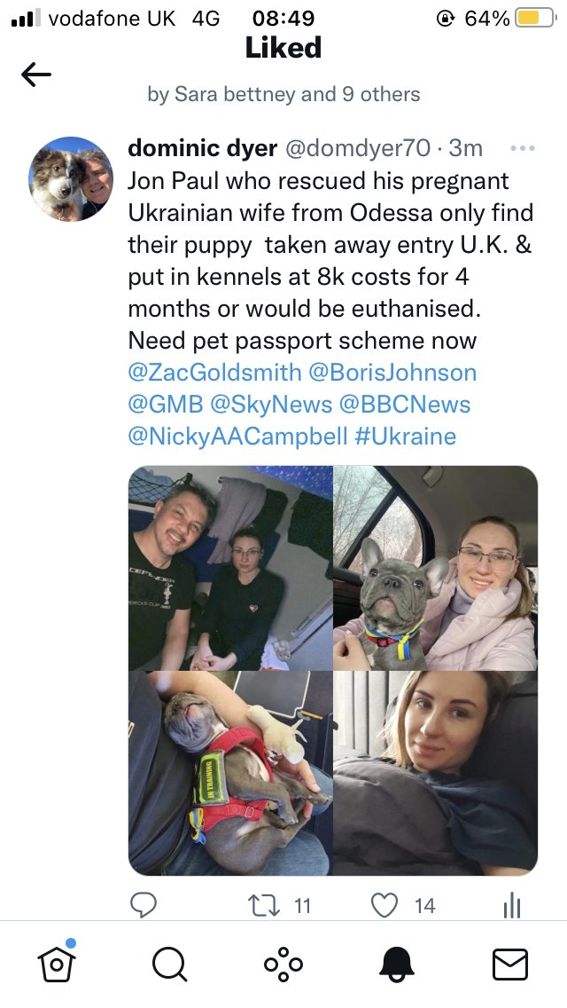 domdyer70's tweet photo. Come on @BorisJohnson this could be happening to your dog in a different place &amp; time, Dilyn is just lucky to be living behind this door rather than Ukraine. We need a pet passport scheme for Ukrainian refugees now @BorisJohnson @ZacGoldsmith @DefraGovUK #StandWithUkraine https://t.co/tdb3UgTrs1