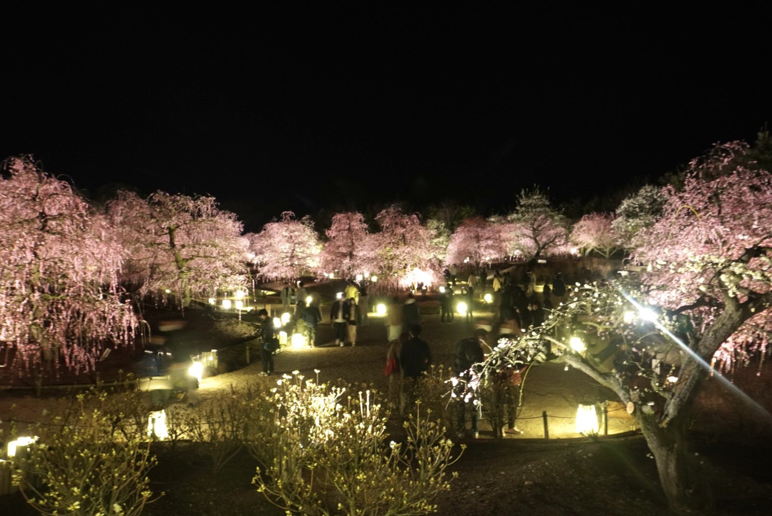 Doyoshinkyo Doyoshinkyo Twitter