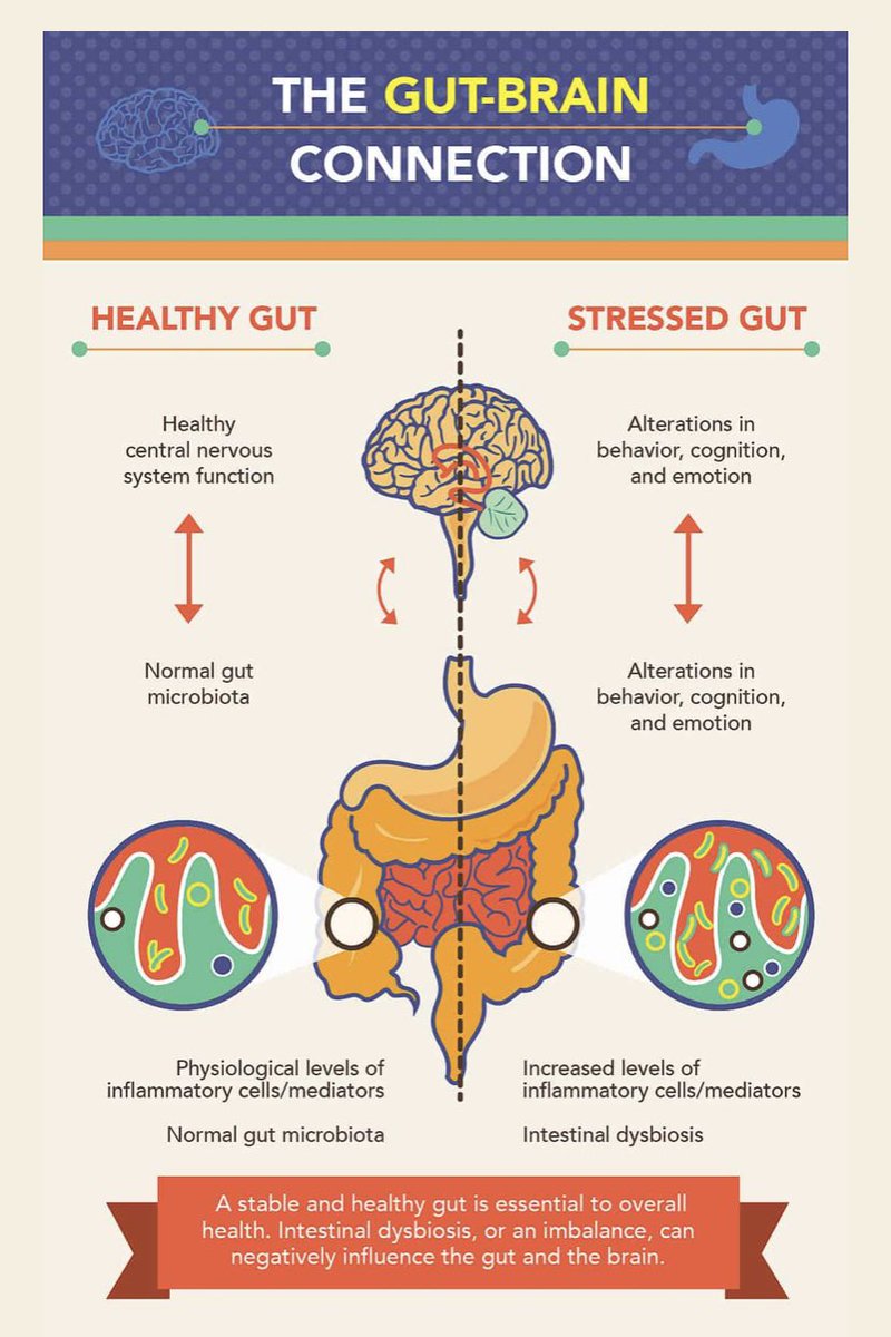 The brain has a direct effect on the stomach + intestines. For example, the very thought of eating can release the stomach's juices before food gets there. This works both ways- so a person's gut distress can be the cause of anxiety, stress, or depression. #MentalHealthAwareness