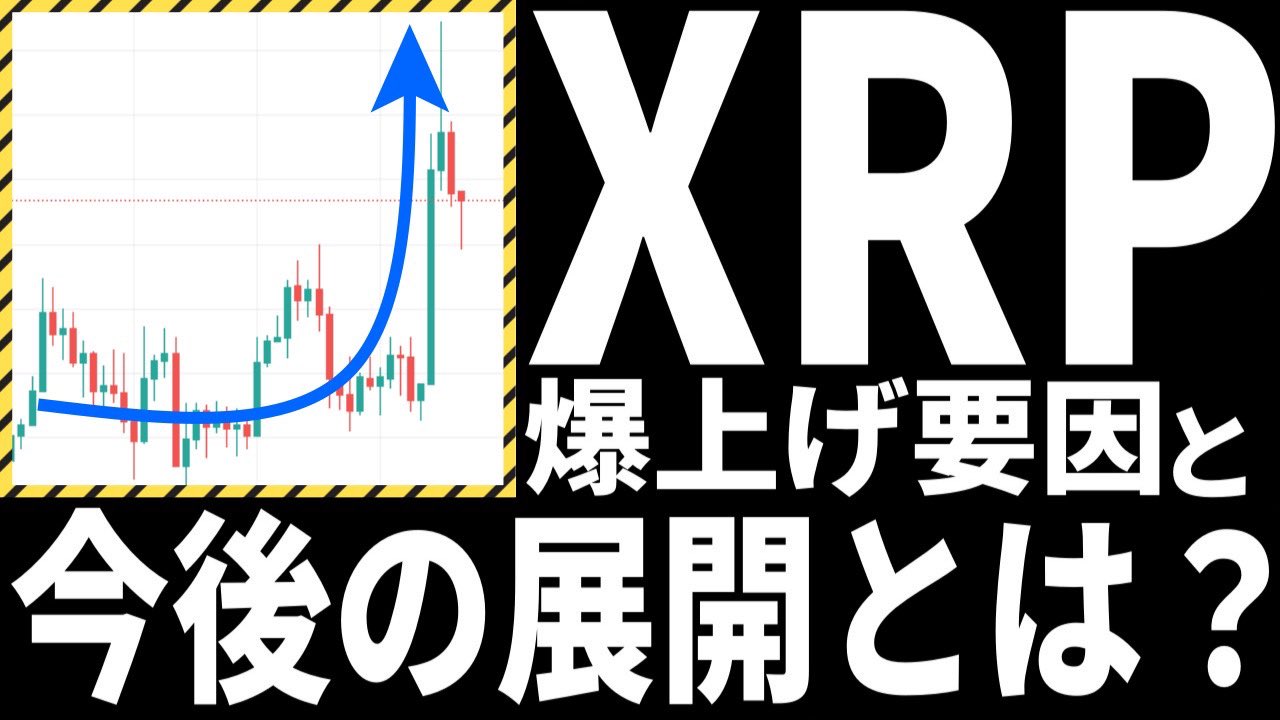 億り人 総資産1億円 計画情報局コインカレッジ Shoyashachou Twitter
