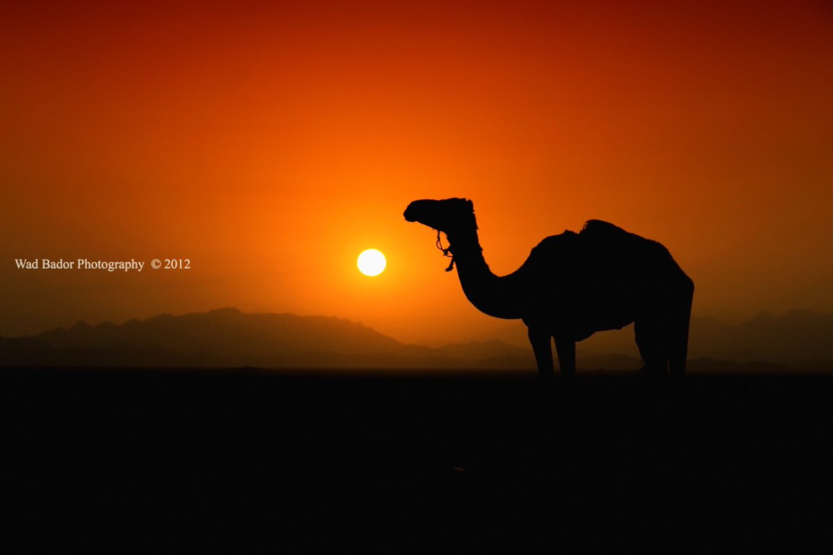 YousifWdBador's tweet photo. السودان بعيون سودانية https://t.co/D87FMG6vkF