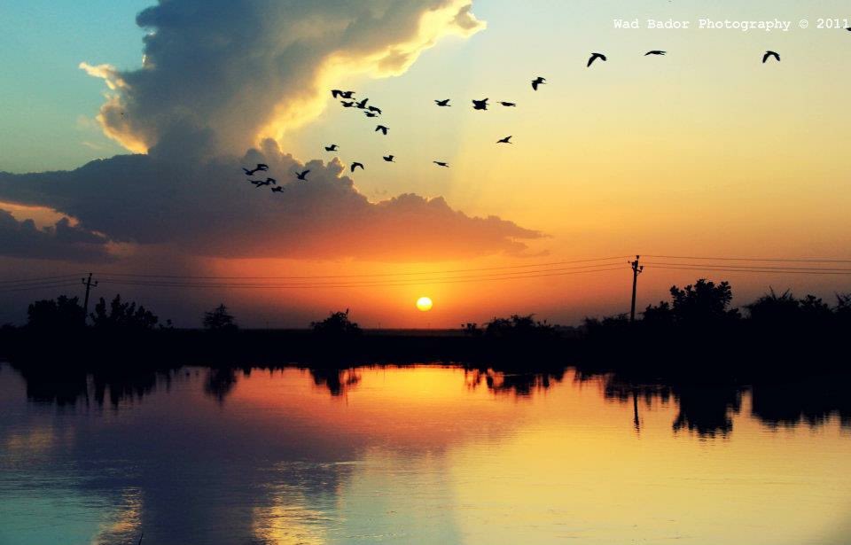 YousifWdBador's tweet photo. السودان بعيون سودانية https://t.co/D87FMG6vkF