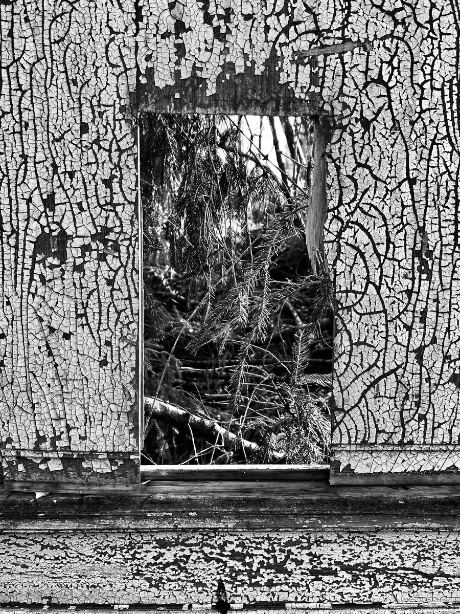 This afternoon airs the next episode (09) of A.V.A. Radio on <a href="/listen_camp/">CAMP Radio</a> 

Featuring a 30 minute long tape degraded mix from <a href="/standardgrey/">S Grey’s parody account</a> Along with audio contributions from:
<a href="/billygomberg/">Billy Gomberg</a>, LY Foulidis, ovrscn