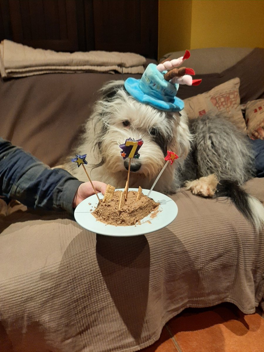 Carmen María tweet media