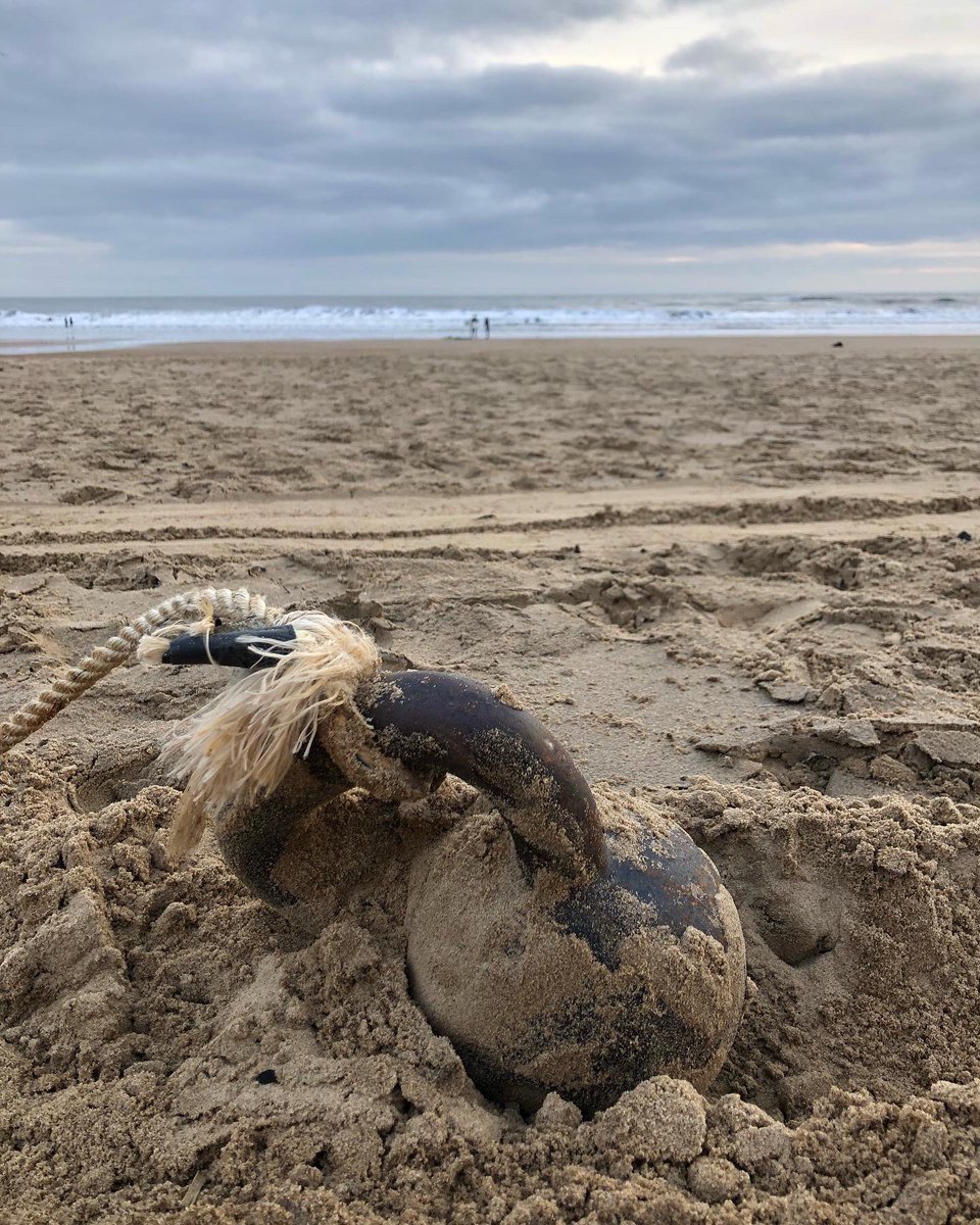 Tynemouth Fit Bodz tweet media