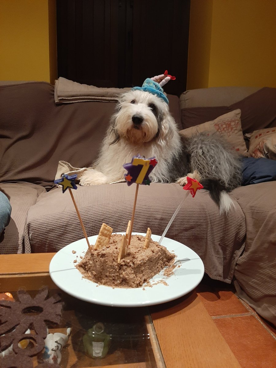 Hoy mi campeón cumple 7 años #FelizViernesATodos