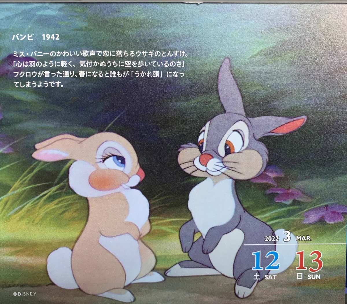 *  　バンビと　たわむれるウサギ  　* 桃宮さむ on X: 
