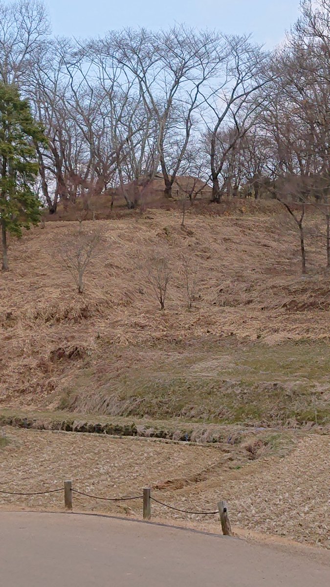 asukavill's tweet photo. 特集／3/13飛鳥ハーフマラソン🏃
世界遺産構成資産候補を走る その４
13枚目：高松塚古墳(右手真横、周りを巡り…)
14枚目：牽牛子塚古墳(右手前方、再び白い八角形墳が‼️)
15枚目：中尾山古墳(右手上方、此も八角形墳❗)
16枚目：キトラ古墳(ゴール後、左手) お疲れ様でした。
来年もお待ちしてます‼️ https://t.co/uKixeMgHnv