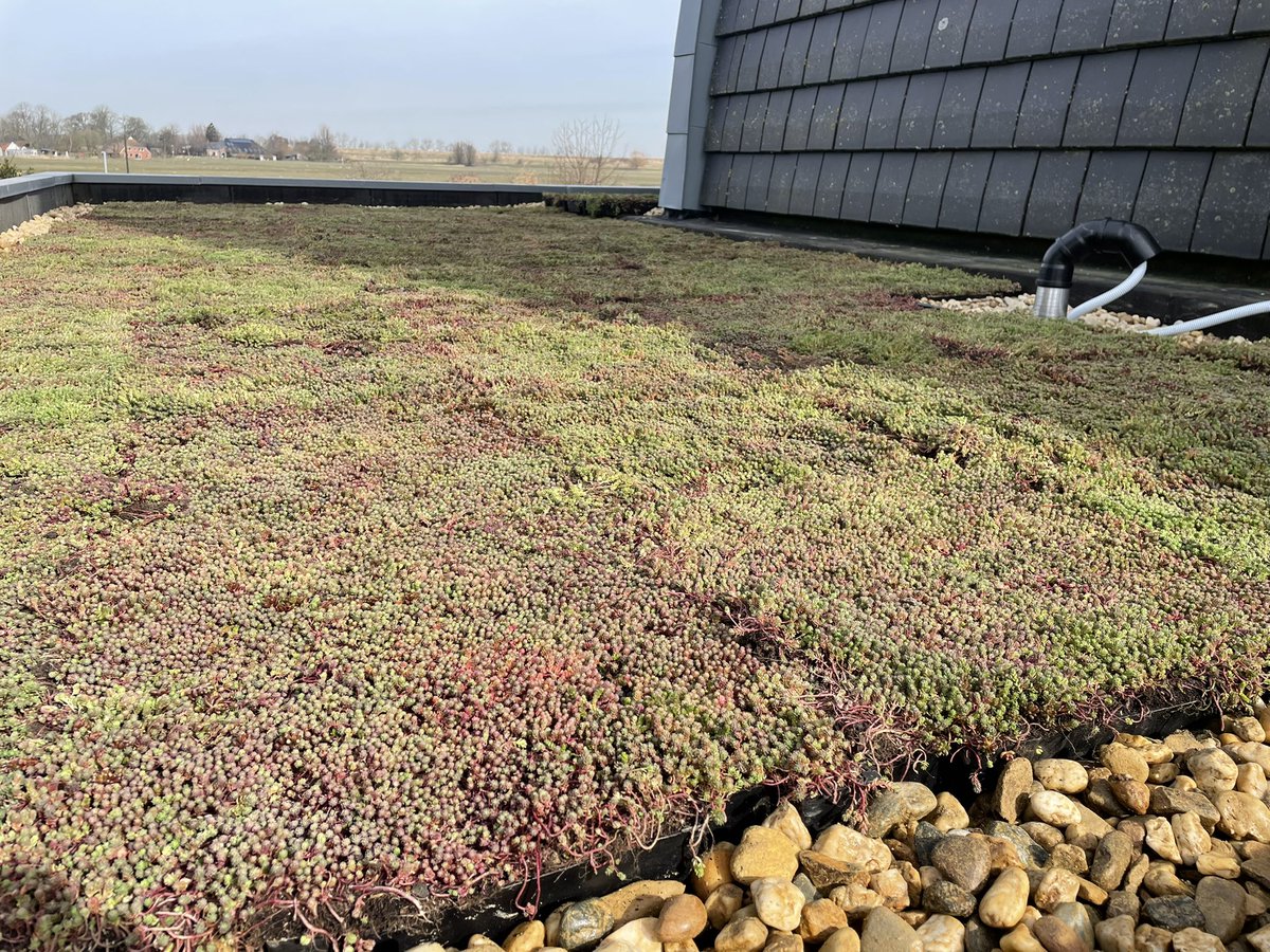 Top week, zonnepanelen en een groendak #wievolgt