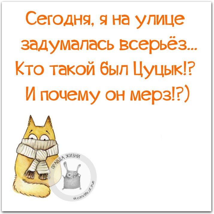 Цуцик замерз. Кто такой цуцик. Бычок-цуцик. Кто такой цуцик. Цуцик фото.