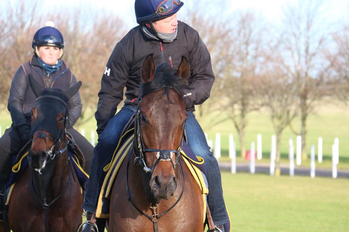 hpalmerracing's tweet photo. Spring has sprung and thereβs a hint of excitement in the air!
Some of our horses enjoyed a gallop over Racecourse Side under the early morning sun.
#racehorses #flatracing #turfseason #newmarketheath #newmarket #horsesintraining #poweredbypolroger https://t.co/c2jMpoMRmg